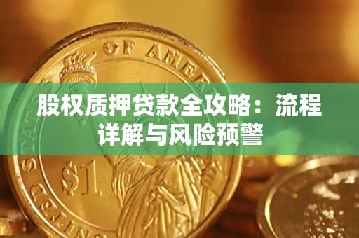 武汉股权质押贷款全攻略：流程详解与风险预警