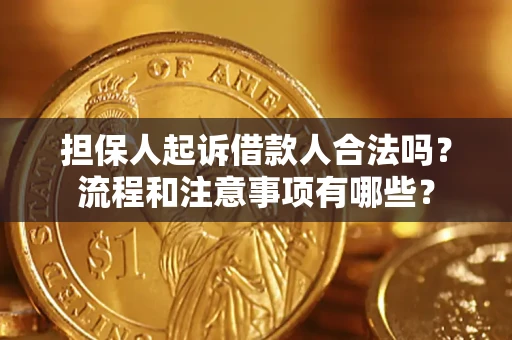 武汉担保人起诉借款人合法吗？流程和注意事项有哪些？