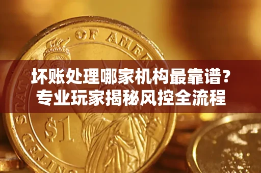 武汉坏账处理哪家机构最靠谱？专业玩家揭秘风控全流程