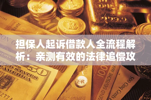 武汉担保人起诉借款人全流程解析：亲测有效的法律追偿攻略