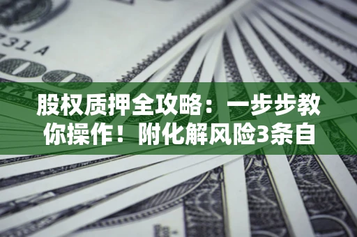 武汉股权质押全攻略：一步步教你操作！附化解风险3条自救法则