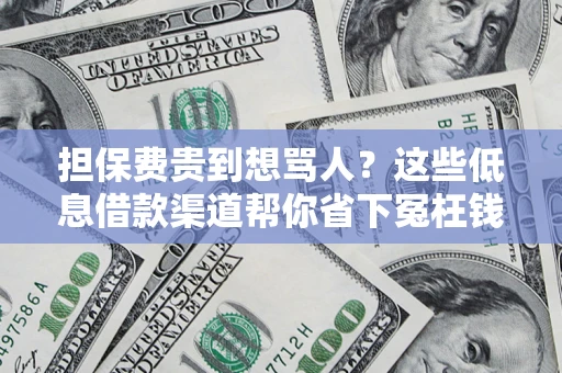 武汉担保费贵到想骂人？这些低息借款渠道帮你省下冤枉钱