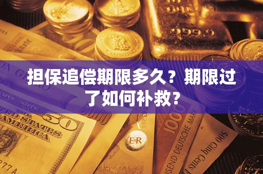 武汉担保追偿期限多久？期限过了如何补救？