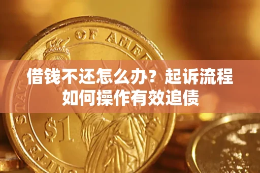 武汉借钱不还怎么办？起诉流程如何操作有效追债
