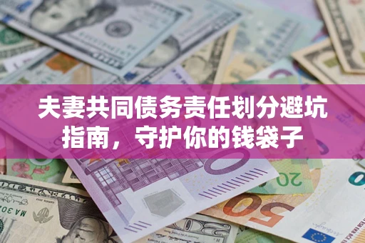 武汉夫妻共同债务责任划分避坑指南，守护你的钱袋子