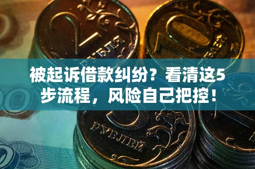 武汉被起诉借款纠纷？看清这5步流程，风险自己把控！