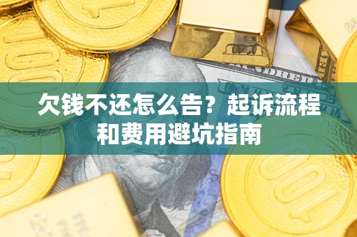 武汉欠钱不还怎么告?起诉流程和费用避坑指南 武汉欠钱不还怎么告?起诉流程和费用避坑指南