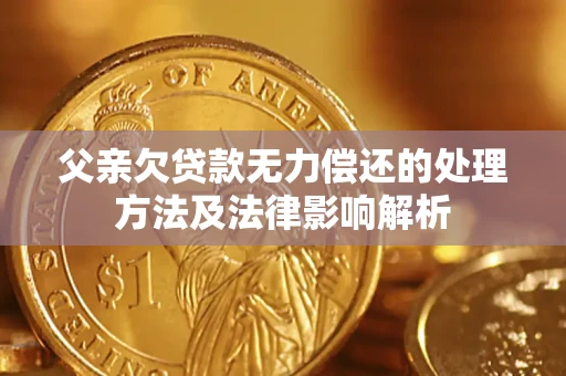 武汉父亲欠贷款无力偿还的处理方法及法律影响解析