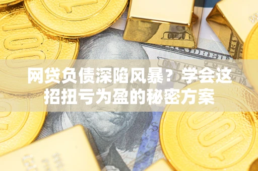 武汉网贷负债深陷风暴？学会这招扭亏为盈的秘密方案
